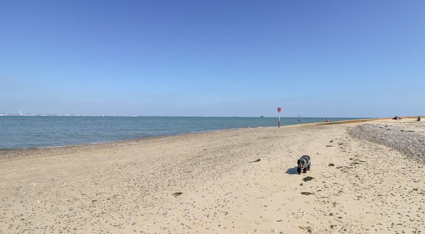 Photo of The Old Dairy