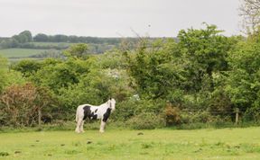 Photo of Nestling Barn