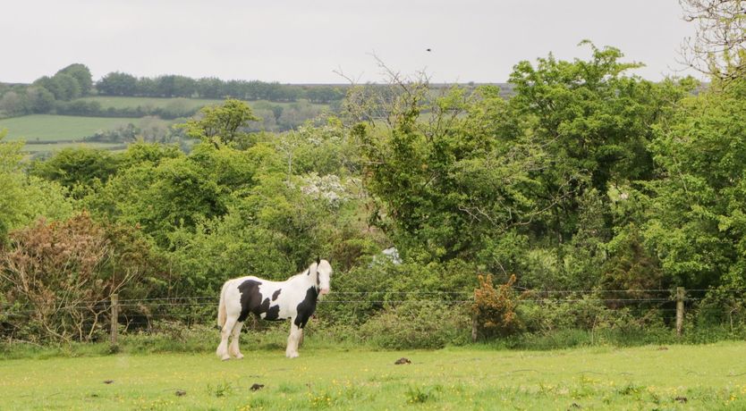 Photo of Nestling Barn