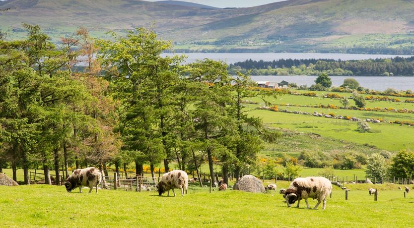 Photo of Abhainn Ri Farmhouse & Cottages