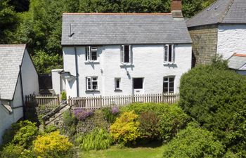 Tree Tops, Lynbridge Holiday Cottage