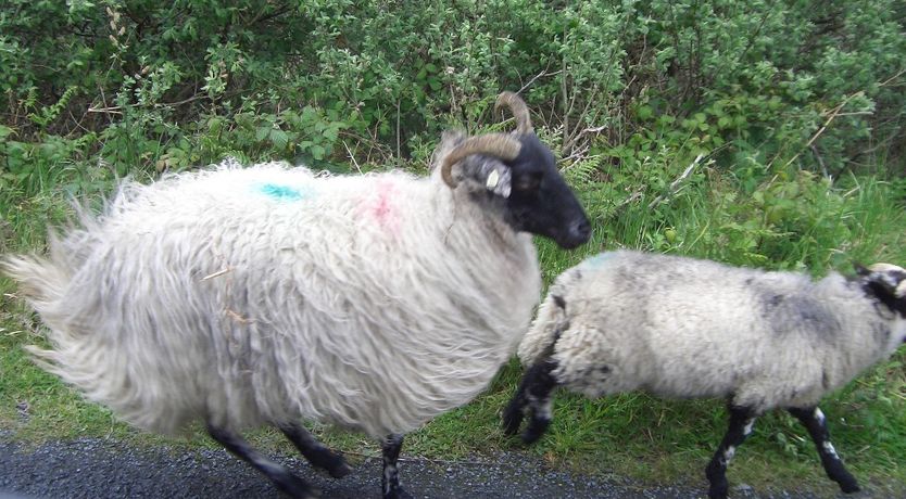 Photo of Georgian Country Home