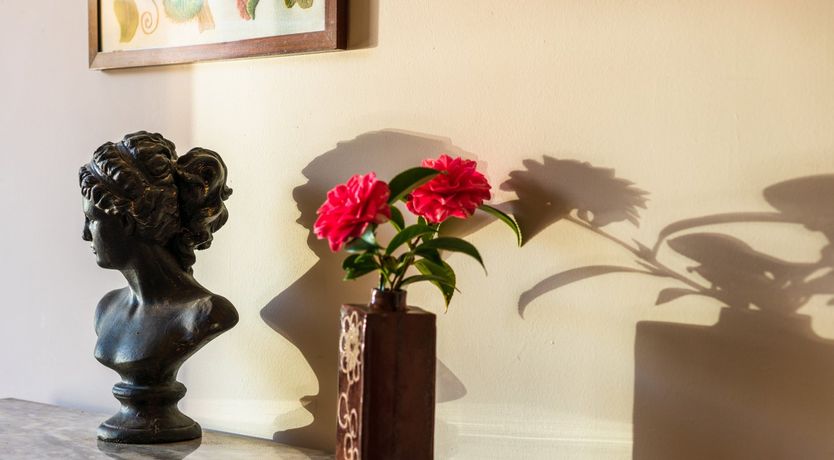 Photo of Nyth Y Wennol