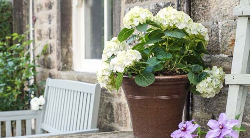 Photo of Beacon Cottage