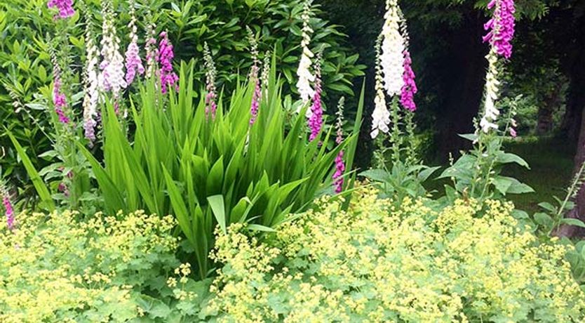 Photo of Dalvey House