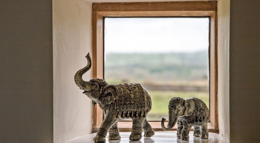 Photo of Robin Cottage