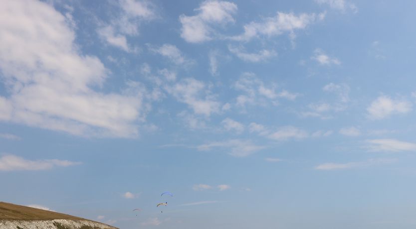 Photo of Serendipity