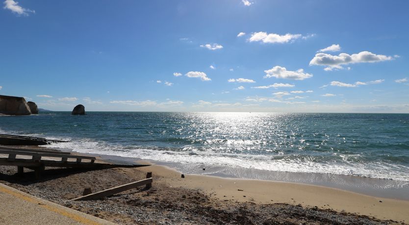 Photo of Serendipity