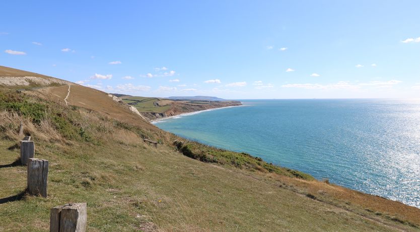 Photo of Serendipity