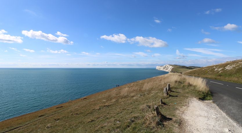 Photo of Serendipity