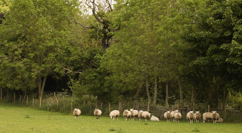 Photo of Just A Cottage, Newlands Farm