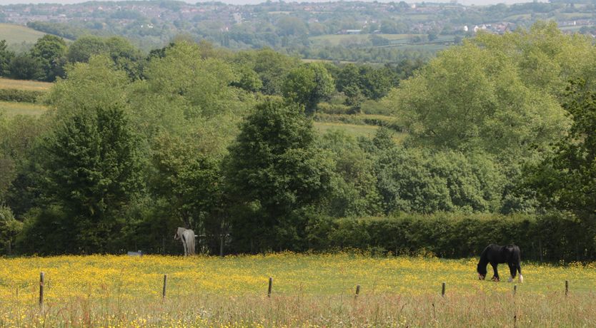 Photo of Just A Cottage, Newlands Farm