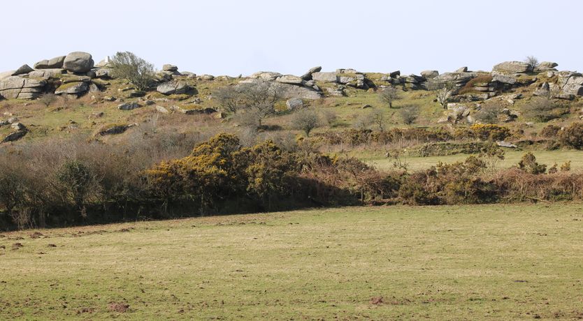 Photo of Badgers Sett