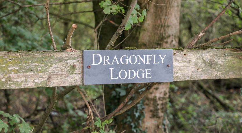 Photo of Dragonfly Lodge