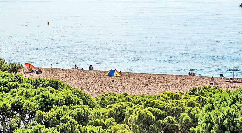 Photo of Paisos Catalans