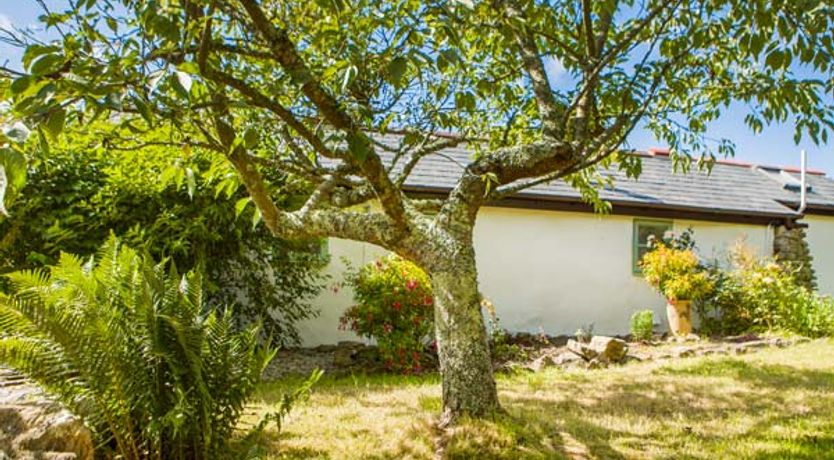 Photo of Five Elements Studio