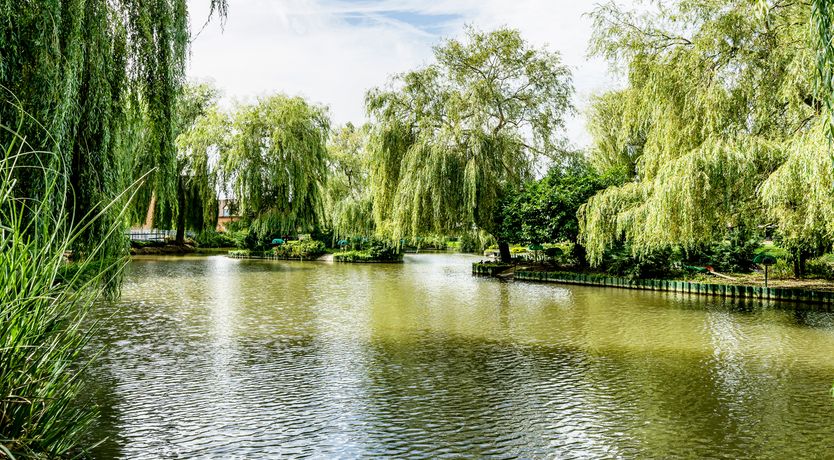 Photo of Grafton Mill