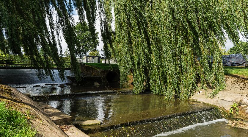 Photo of Grafton Mill