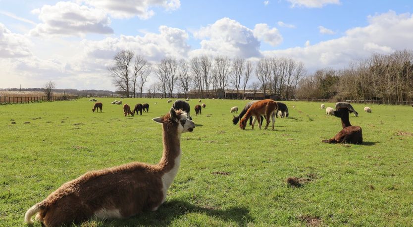 Photo of Ferry Cottage