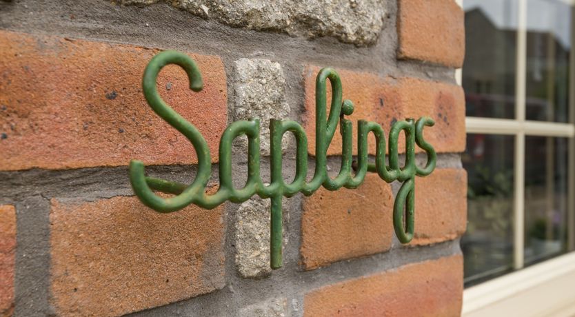 Photo of Saplings