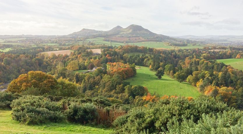 Photo of Tweed Apartment