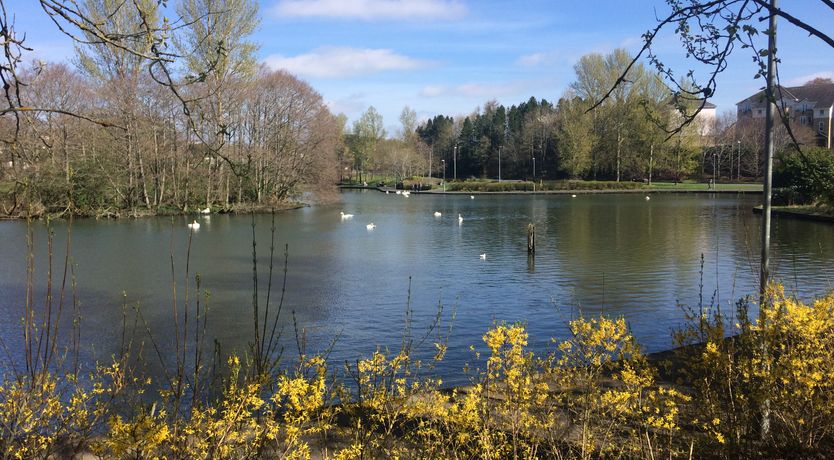 Photo of Tweed Apartment