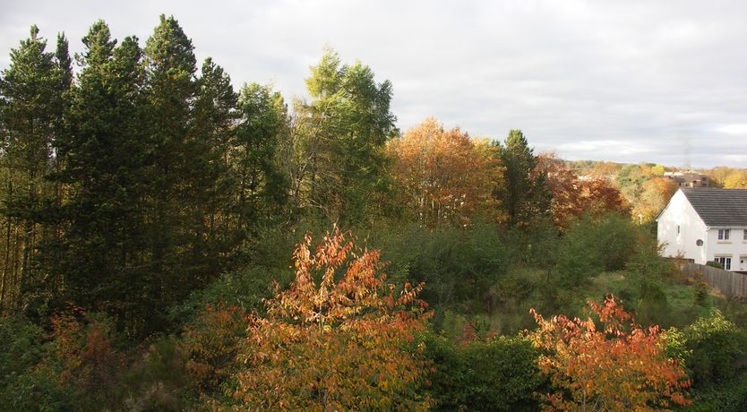 Photo of Tweed Apartment