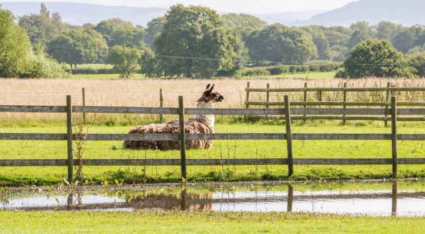 Photo of Chequer Stable