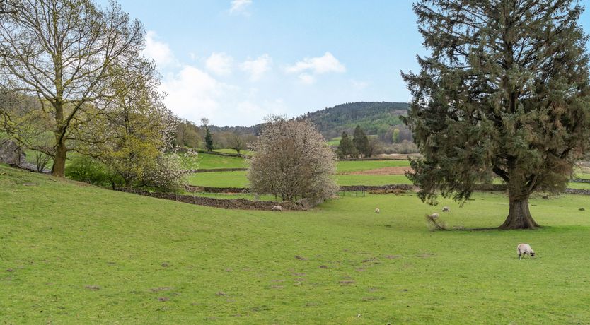 Photo of Ees Wyke Studio