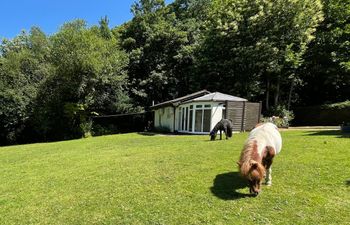 Badger View Holiday Cottage