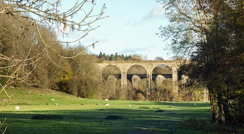 Photo of Little Cow House