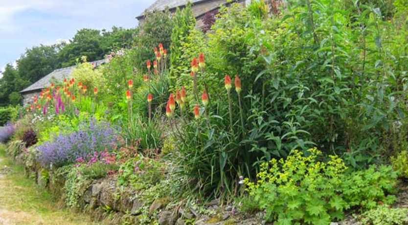 Photo of Little Cow House