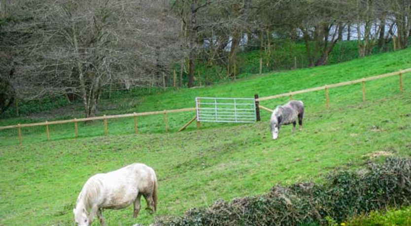 Photo of Little Cow House