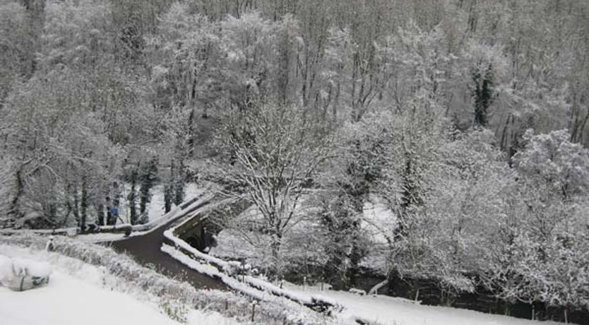 Photo of Little Cow House