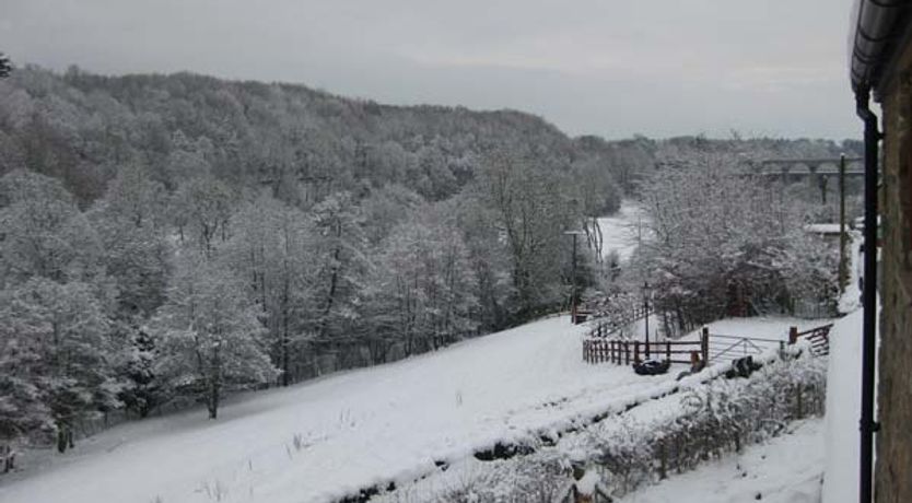 Photo of Little Cow House