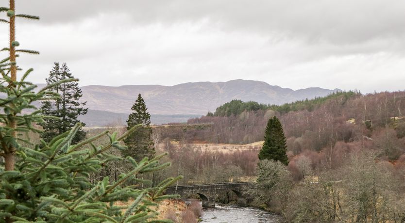 Photo of Wildcat Lodge