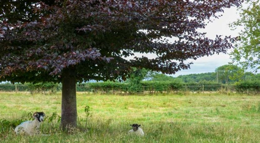 Photo of The Granary