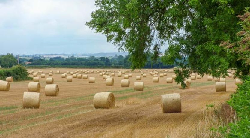 Photo of The Granary