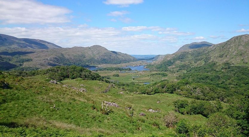 Photo of Waterville Cottage