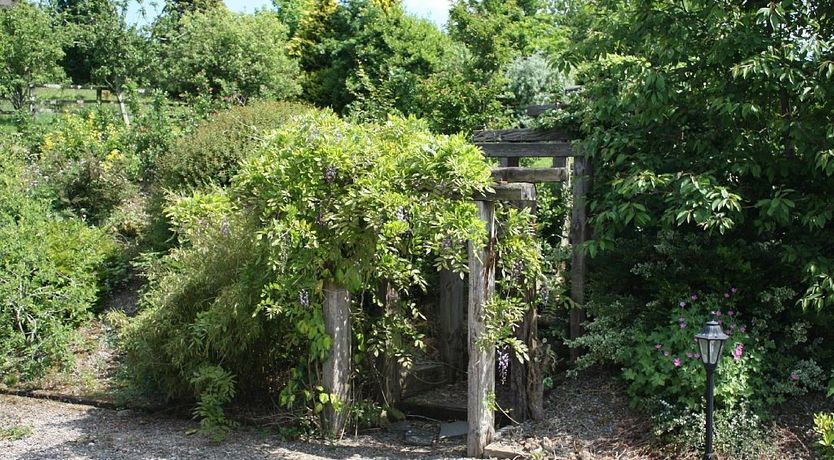 Photo of American style villa