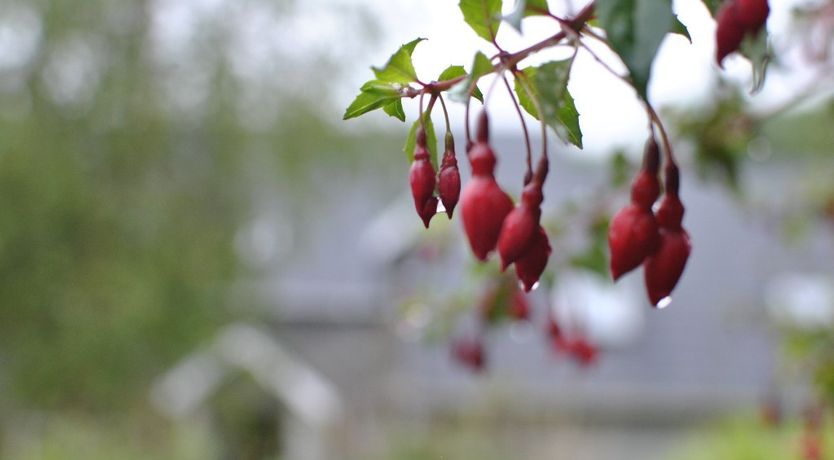 Photo of Roury Valley View