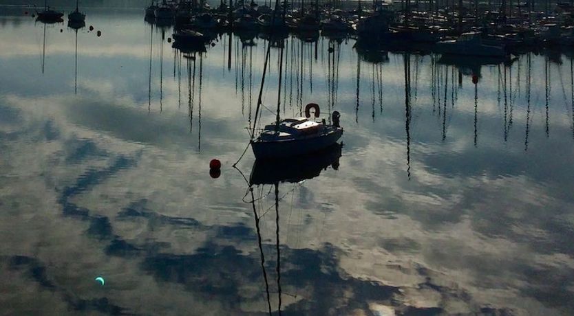 Photo of Kinsale Shearwater