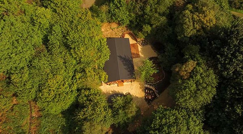 Photo of Wilderness Lodge