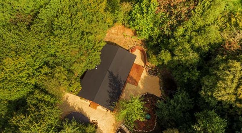 Photo of Wilderness Lodge