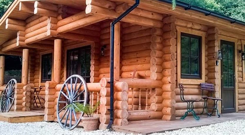 Photo of Wilderness Lodge