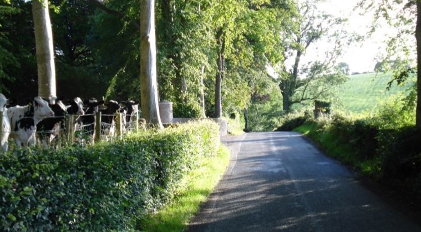 Photo of Tullymurry House