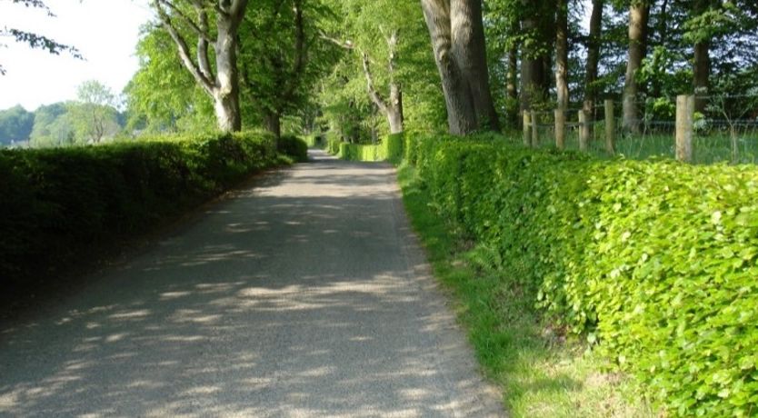 Photo of Tullymurry House