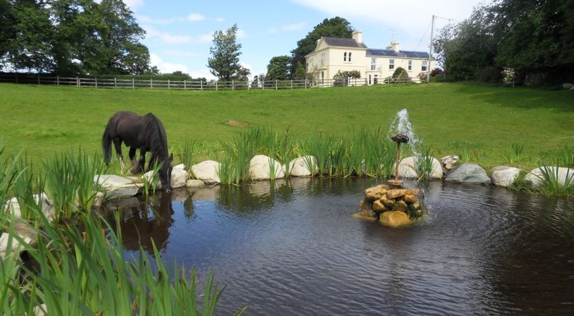 Photo of Killarney Lake View