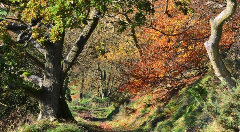 Photo of The Gate Lodge,with great views of Loch Leven