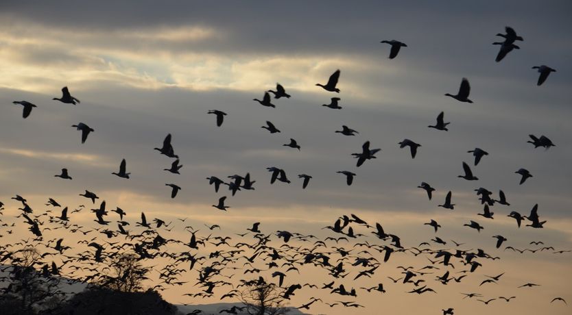 Photo of The Gate Lodge,with great views of Loch Leven